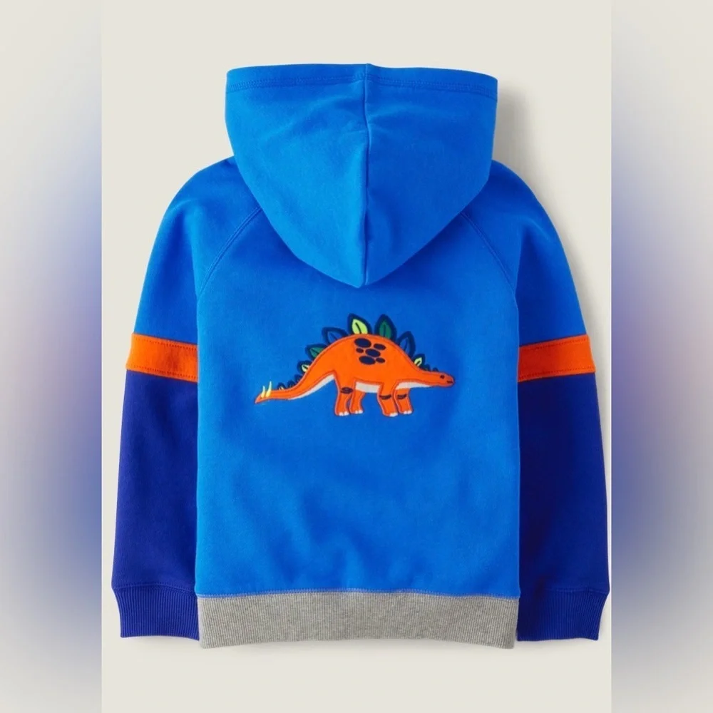 Gymboree Boys Dino Colorblock Fleece Hoodie - Dino Friends